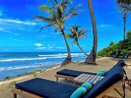 Turtle Beach Sanctuary Utila