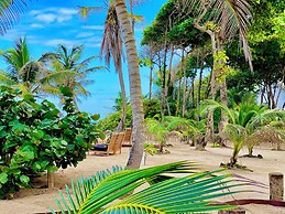 Turtle Beach Sanctuary Utila