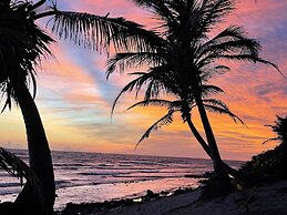 Turtle Beach Sanctuary Utila