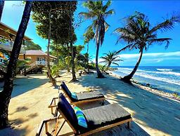 Turtle Beach Sanctuary Utila