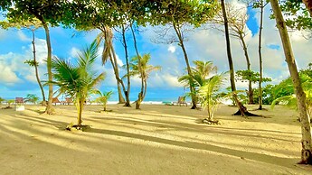 Turtle Beach Sanctuary Utila