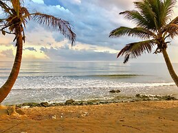 Turtle Beach Sanctuary Utila