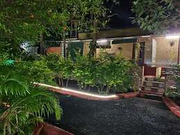 The Whistling Pine Woods