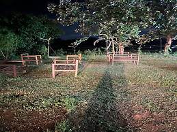 The Whistling Pine Woods