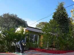 The Whistling Pine Woods