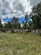 Mongol Nomadic tourist camp