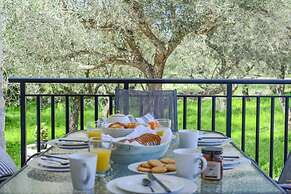 Green Oak Villa in Zakynthos