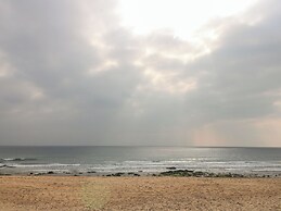 Sea Whispers