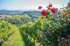 Vineyard cottage Mehak