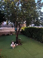 Hadas Garden Apartment