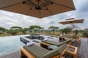 Tarangire Elephant Springs
