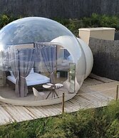Wine Bubble