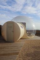 Wine Bubble