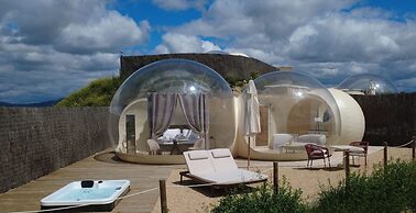 Wine Bubble