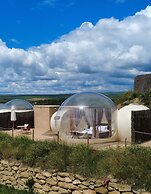 Wine Bubble