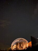 Wine Bubble