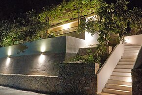 Pura Vida