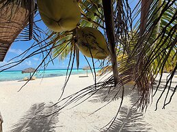 Te Manu Lodge Tikehau