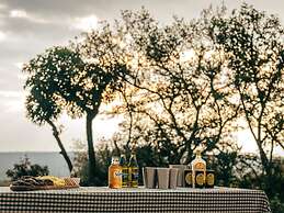 Summerplace Game Reserve