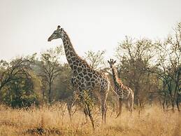 Summerplace Game Reserve