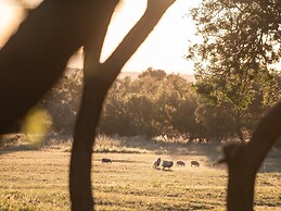 Summerplace Game Reserve