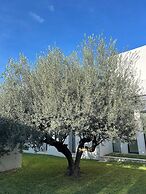 Dar El Musc