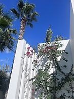 Dar El Musc
