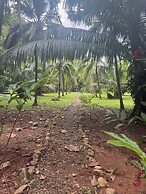 Sabalo lodge