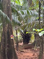 Sabalo lodge