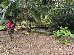 Sabalo lodge