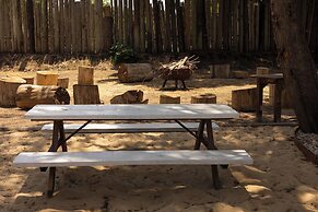 Tribu Eco Beach
