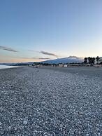 I Puritani on the beach