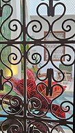 Riad Jo