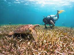 Reef Haven Belize