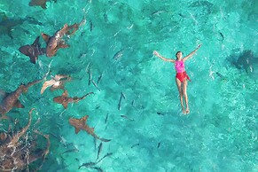 Reef Haven Belize