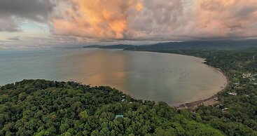 Drake Bay River View