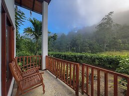 Rain Forest Vibe Sinharaja