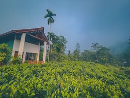 Rain Forest Vibe Sinharaja