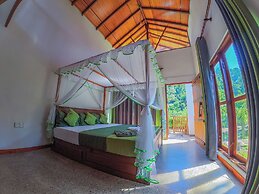 Rain Forest Vibe Sinharaja