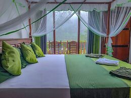 Rain Forest Vibe Sinharaja