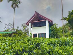 Rain Forest Vibe Sinharaja