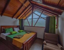 Rain Forest Vibe Sinharaja