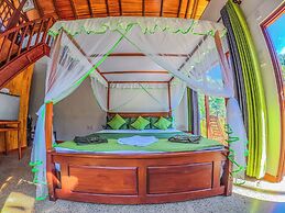 Rain Forest Vibe Sinharaja