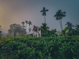 Rain Forest Vibe Sinharaja