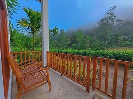 Rain Forest Vibe Sinharaja