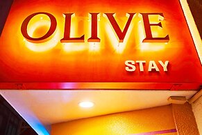 OLIVE stay