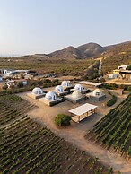 Cupulas Del Valle