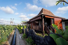 Sunset Harvest Bali