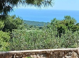 Apartmani Green Oasis
