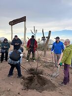 Oimo Tash Yurt Camp